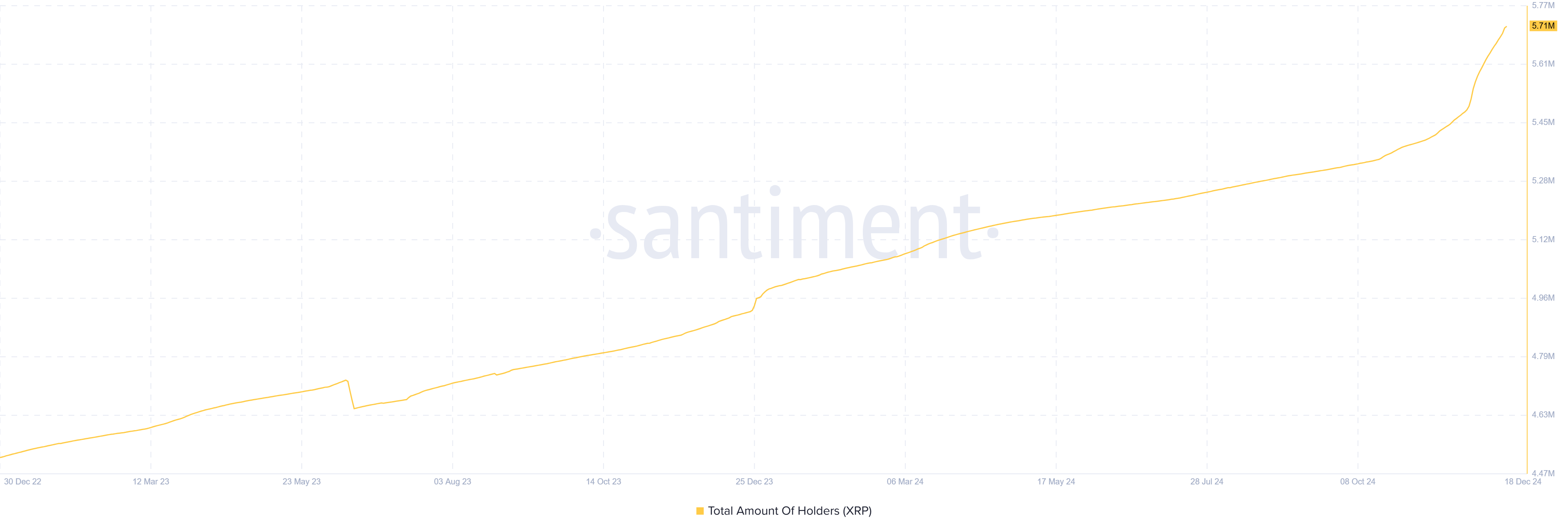 Total Amount of XRP Holders